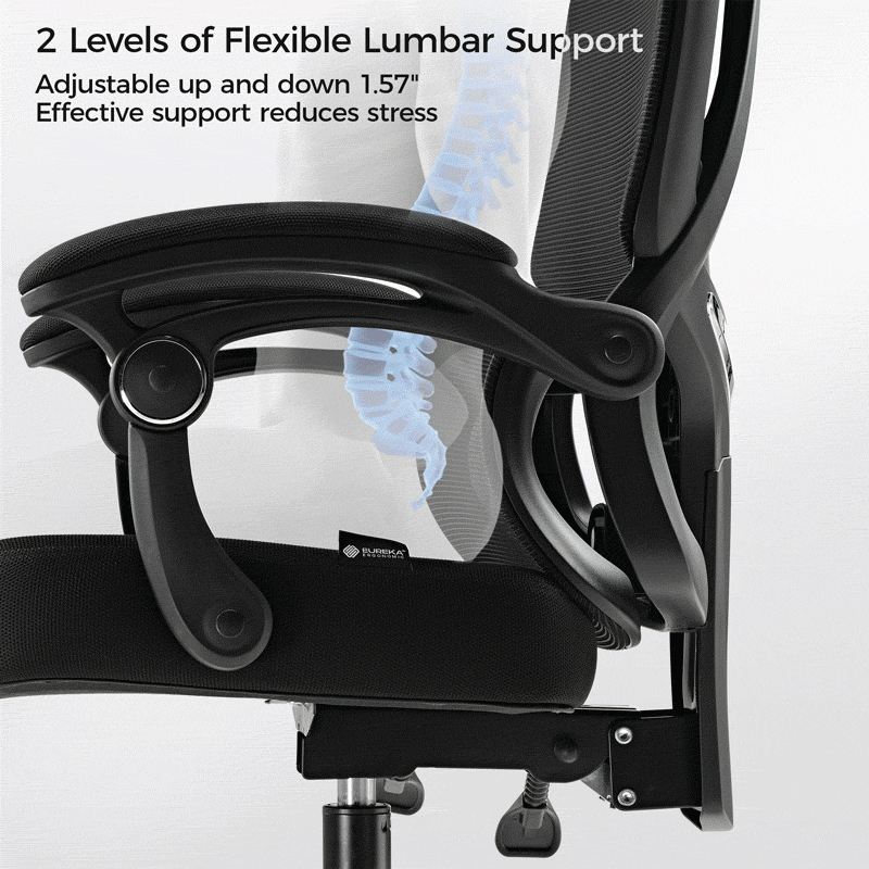[NEW] Eureka OC16 Nero Ergonomic Home/Office Chair - Black