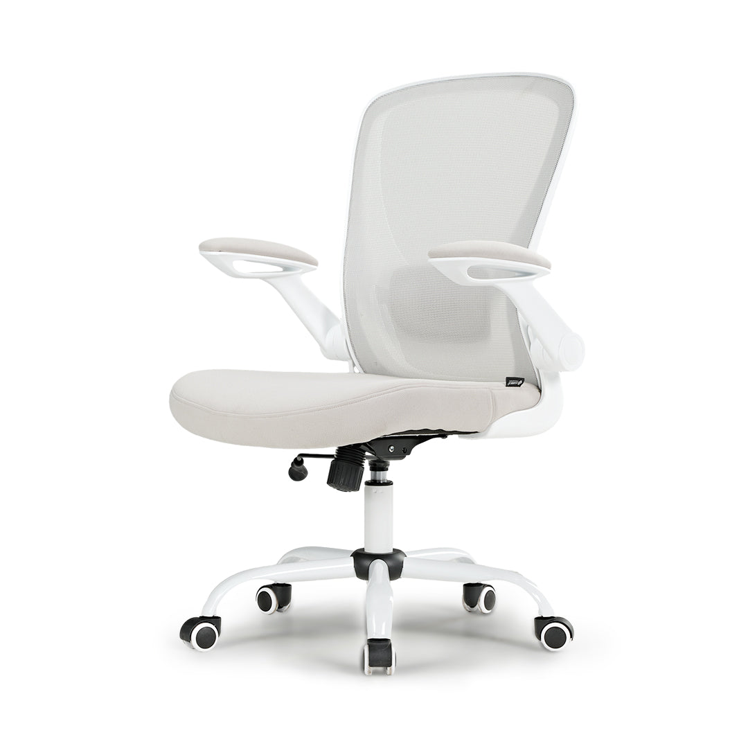 [NEW] Eureka OC06 ONYX Ergonomic Home/Office Chair - Grey