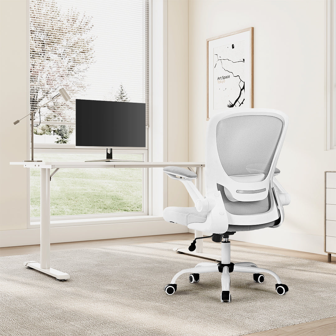 [NEW] Eureka OC06 ONYX Ergonomic Home/Office Chair - Grey
