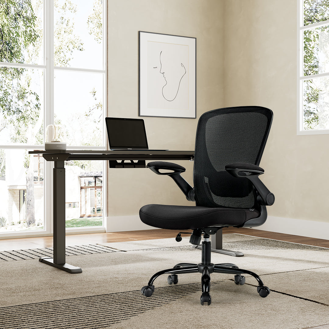 [NEW] Eureka OC06 ONYX Ergonomic Home/Office Chair - Grey
