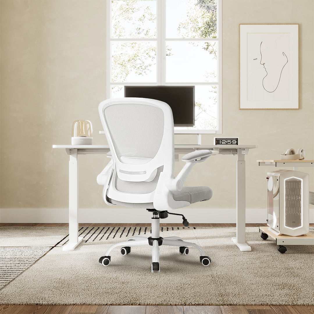 [NEW] Eureka OC06 ONYX Ergonomic Home/Office Chair - Grey